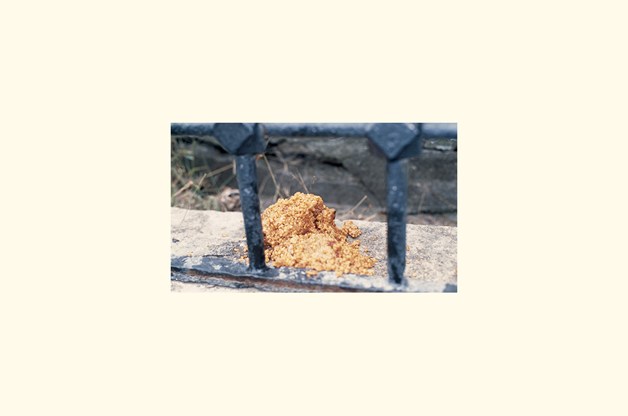 Food scattered behind a metal railing