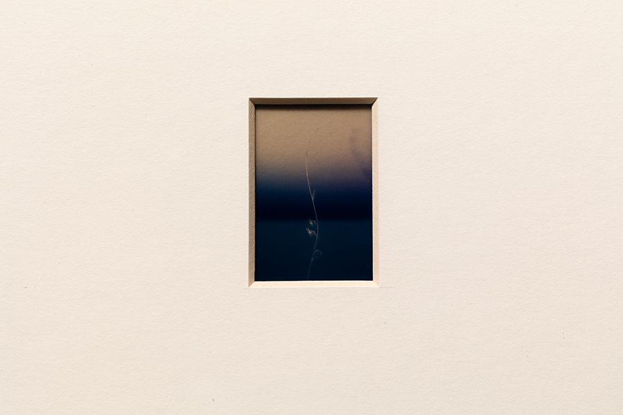Framed ateloprosopia work showing a mounted vertical diapositive