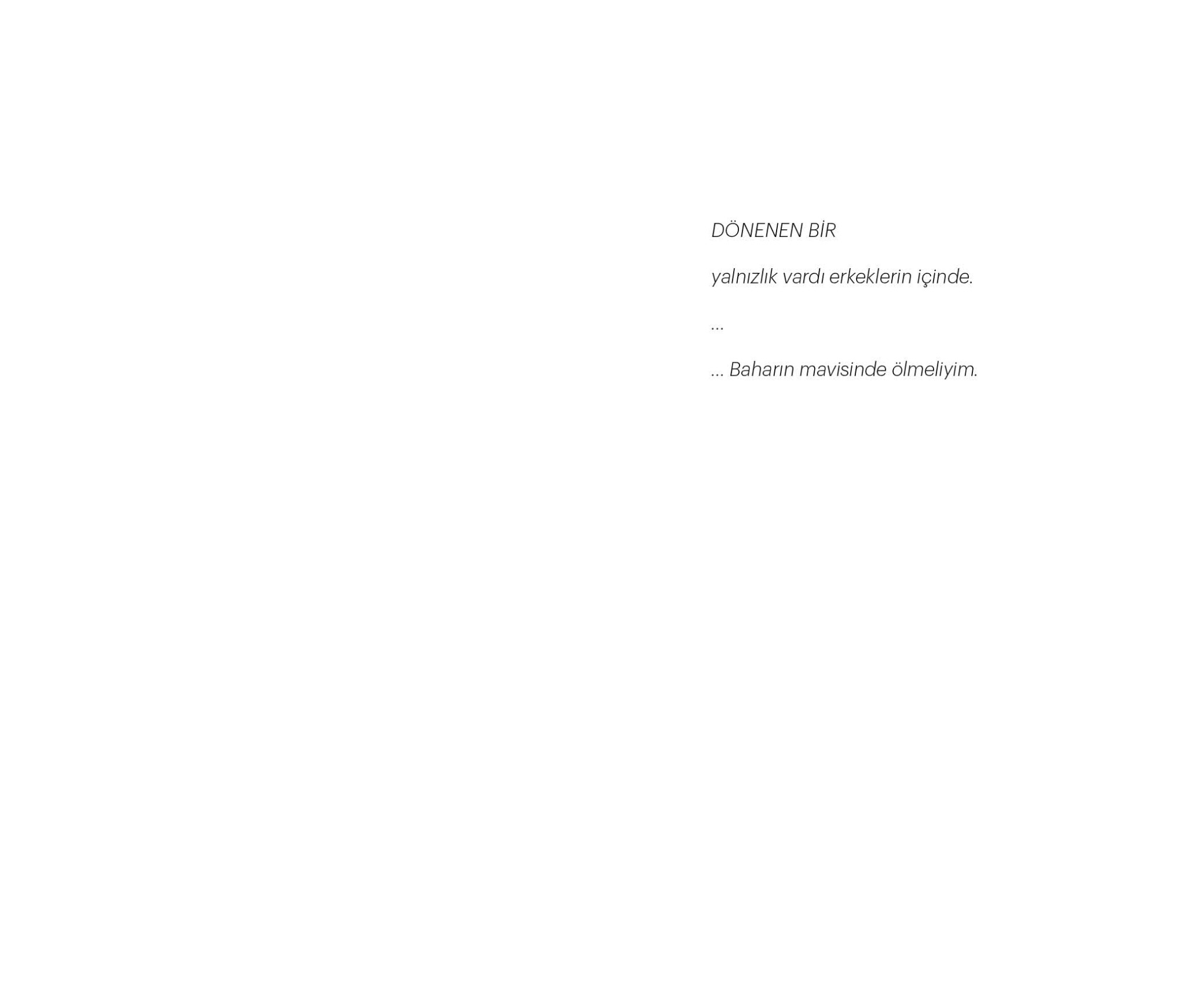 Quotation page from Mavi Blue Blau