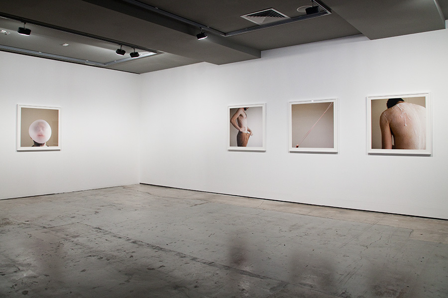 Fresh Cut installation view