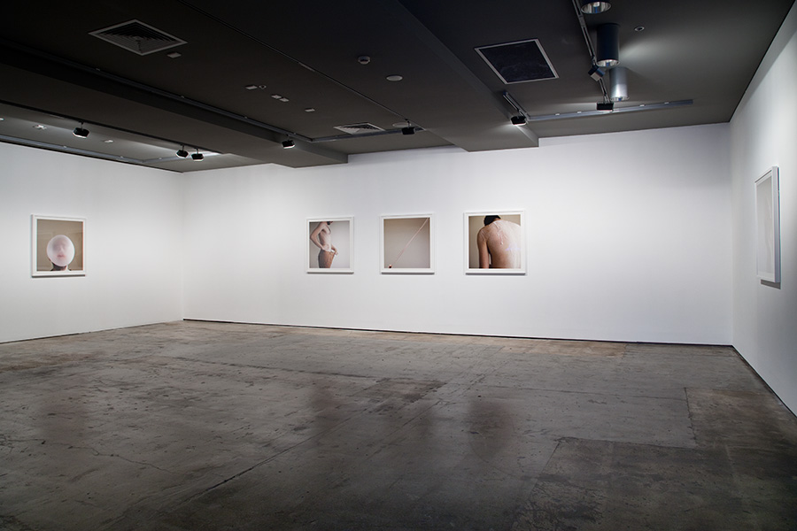 Fresh Cut installation view