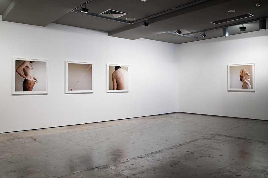 Fresh Cut installation view