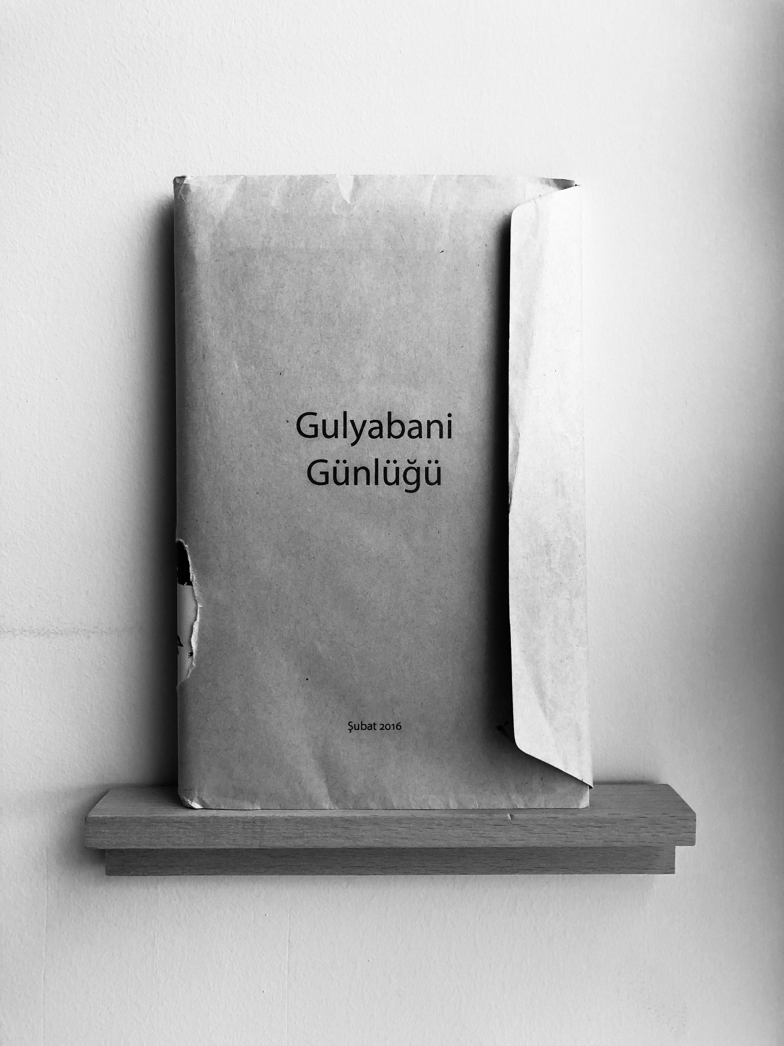 Cover of Gulyabani Günlüğü I