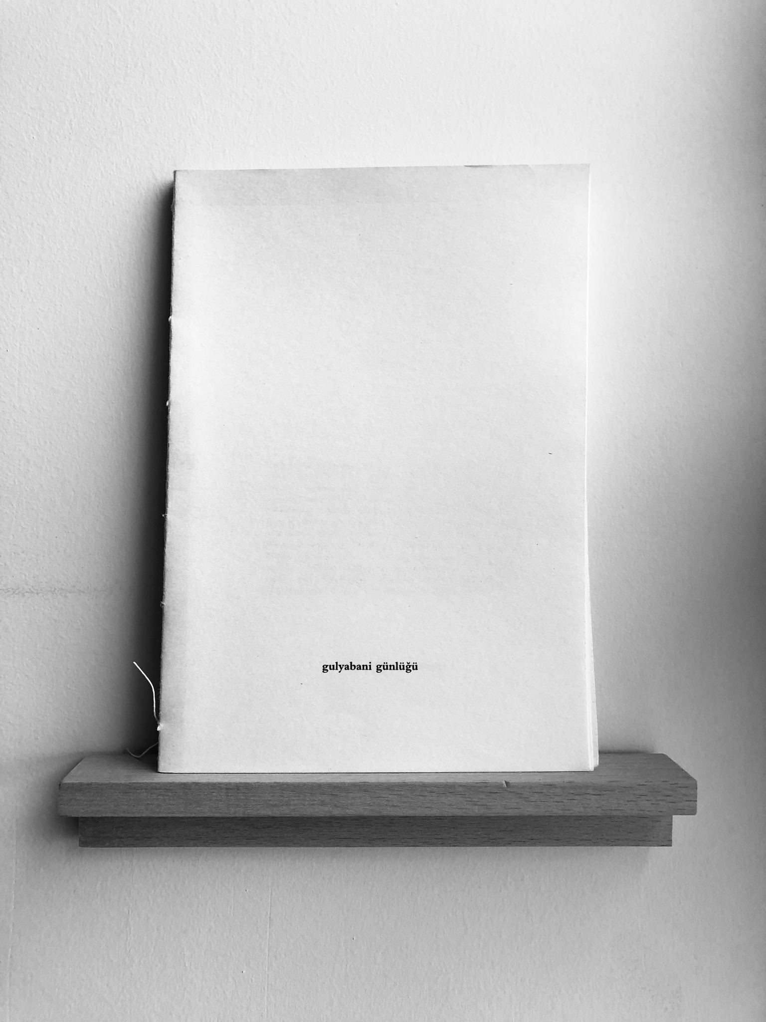 Cover of Gulyabani Günlüğü II