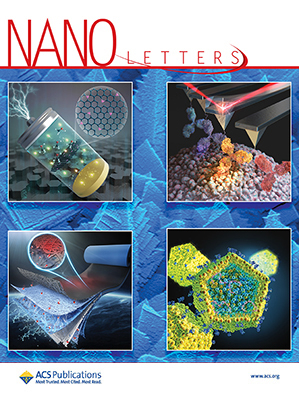 Cover of Nano Letters